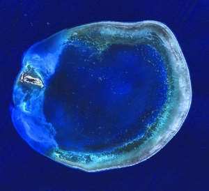 東沙環礁衛星影像圖(國家太空中心提供) 東沙環礁衛星影像圖(國家太空中心提供)