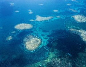 東沙環礁遍佈大大小小的塊礁 東沙環礁遍佈大大小小的塊礁