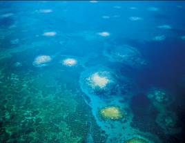 圖1. 點點灑落的塊狀珊瑚礁,是東沙環礁海域的一大特色。 圖1. 點點灑落的塊狀珊瑚礁,是東沙環礁海域的一大特色。