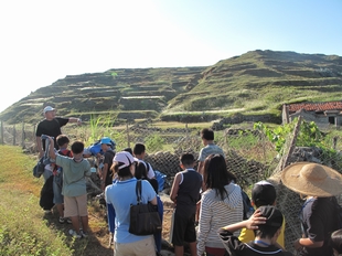圖說4:東嶼坪嶼傳統聚落導覽(海管處提供) 圖說4:東嶼坪嶼傳統聚落導覽(海管處提供)
