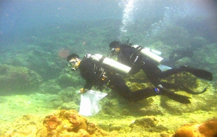 分組進行綠島水下垃圾撿拾 分組進行綠島水下垃圾撿拾