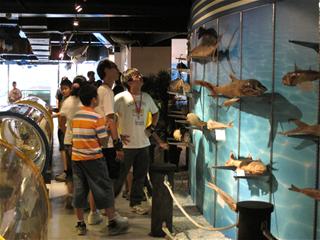 圖4:參觀漁業文化館 圖4:參觀漁業文化館