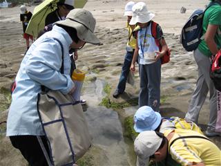 圖1:戶外觀察-老梅石槽 圖1:戶外觀察-老梅石槽