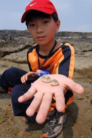 圖2:烈日下,小朋友仍興致勃勃的觀察鎖港潮間帶的豐富生態 圖2:烈日下,小朋友仍興致勃勃的觀察鎖港潮間帶的豐富生態