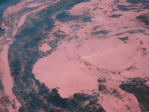 The red slime is actually coral eggs, not paint or pollution (photo by Zhu,Qiao-we,朱巧雯)