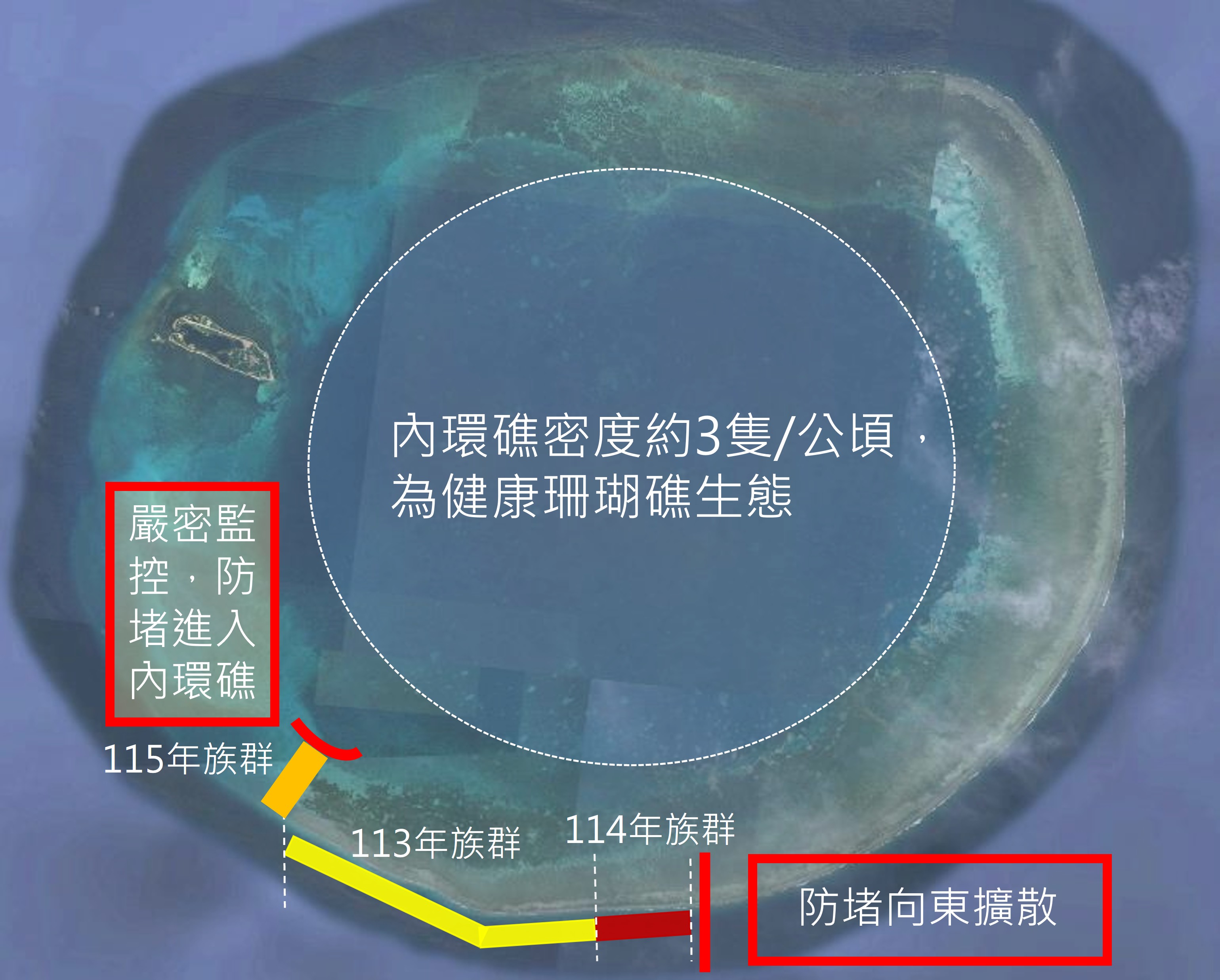 圖1、東沙外環礁西南側及南側棘冠海星分布情形。 圖1、東沙外環礁西南側及南側棘冠海星分布情形。