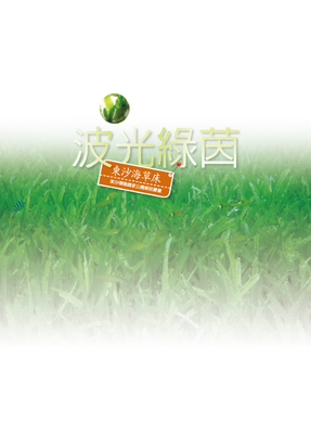 波光綠茵