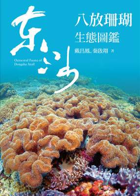 東沙八放珊瑚