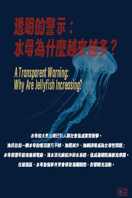 透明的警示_水母為什麼越來越多