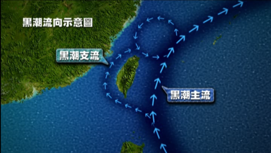 圖說:「澎湃列島-黑潮與島嶼的對話」黑潮流向示意圖
