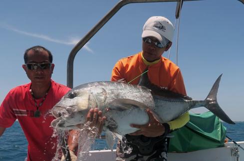 Mediumand small-sized fish are tagged with ordinary label. (Fish cultivation andrelease.)