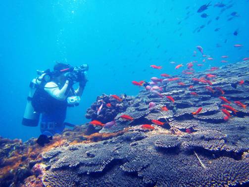 South Penghu Marine National Park has a beautiful coral reef ecosystem.
