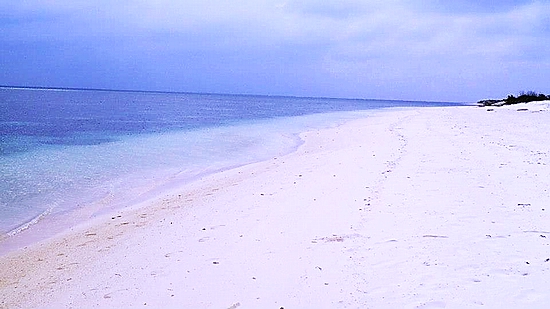 The southern shore of Dongsha Island features long stretches of clean sandy beach, distinct from habitats on the northern shore. (Photo by Liao Chen-heng)