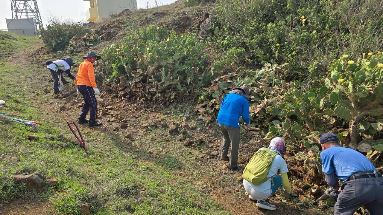 眾人同心清理蔓生到步道的雜草與仙人掌,讓步道路徑更為清晰