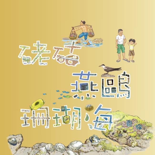 老咕燕鷗珊瑚海 老咕燕鷗珊瑚海
