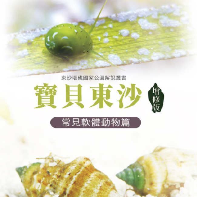 寶貝東沙 寶貝東沙
