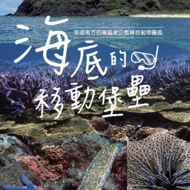 棘皮動物圖鑑 棘皮動物圖鑑